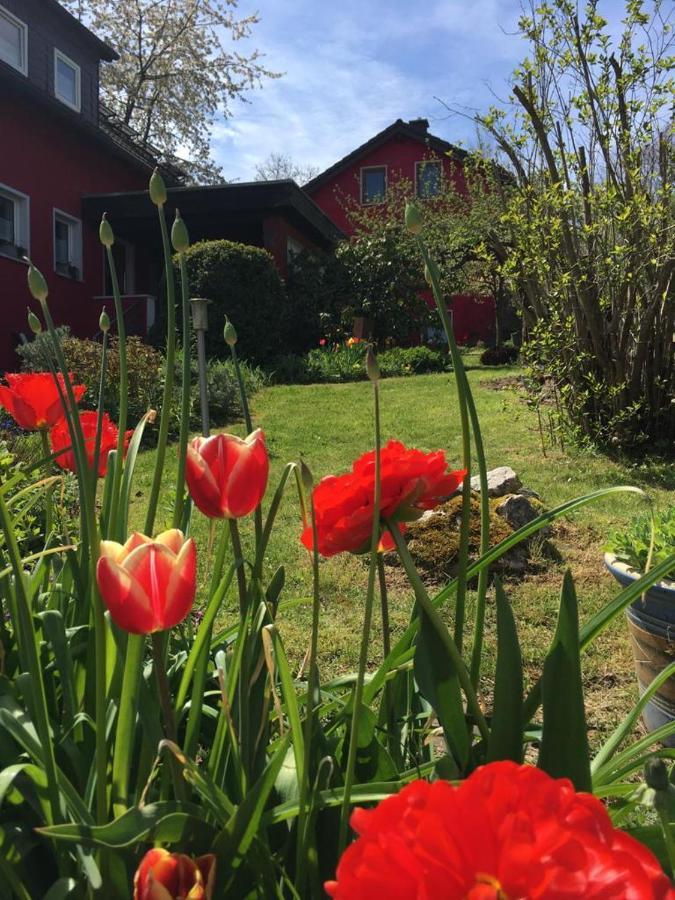 Ferienwohnung Auenthal Koditz Eksteriør billede